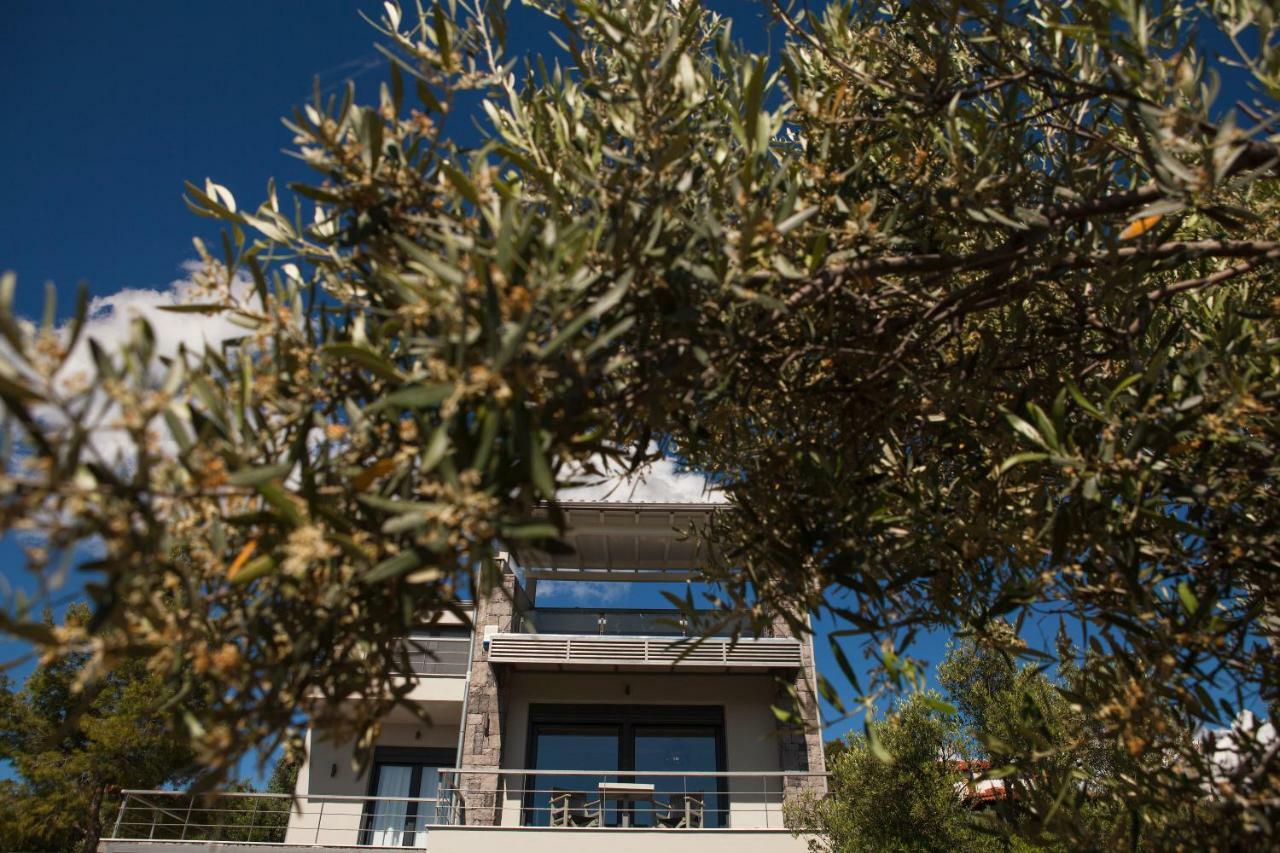 Olivia Estate Villa With Private Swimming Pool Elia Nikitis Zewnętrze zdjęcie