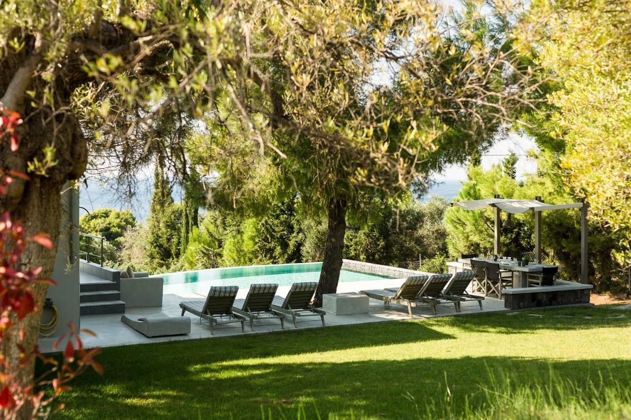 Olivia Estate Villa With Private Swimming Pool Elia Nikitis Zewnętrze zdjęcie