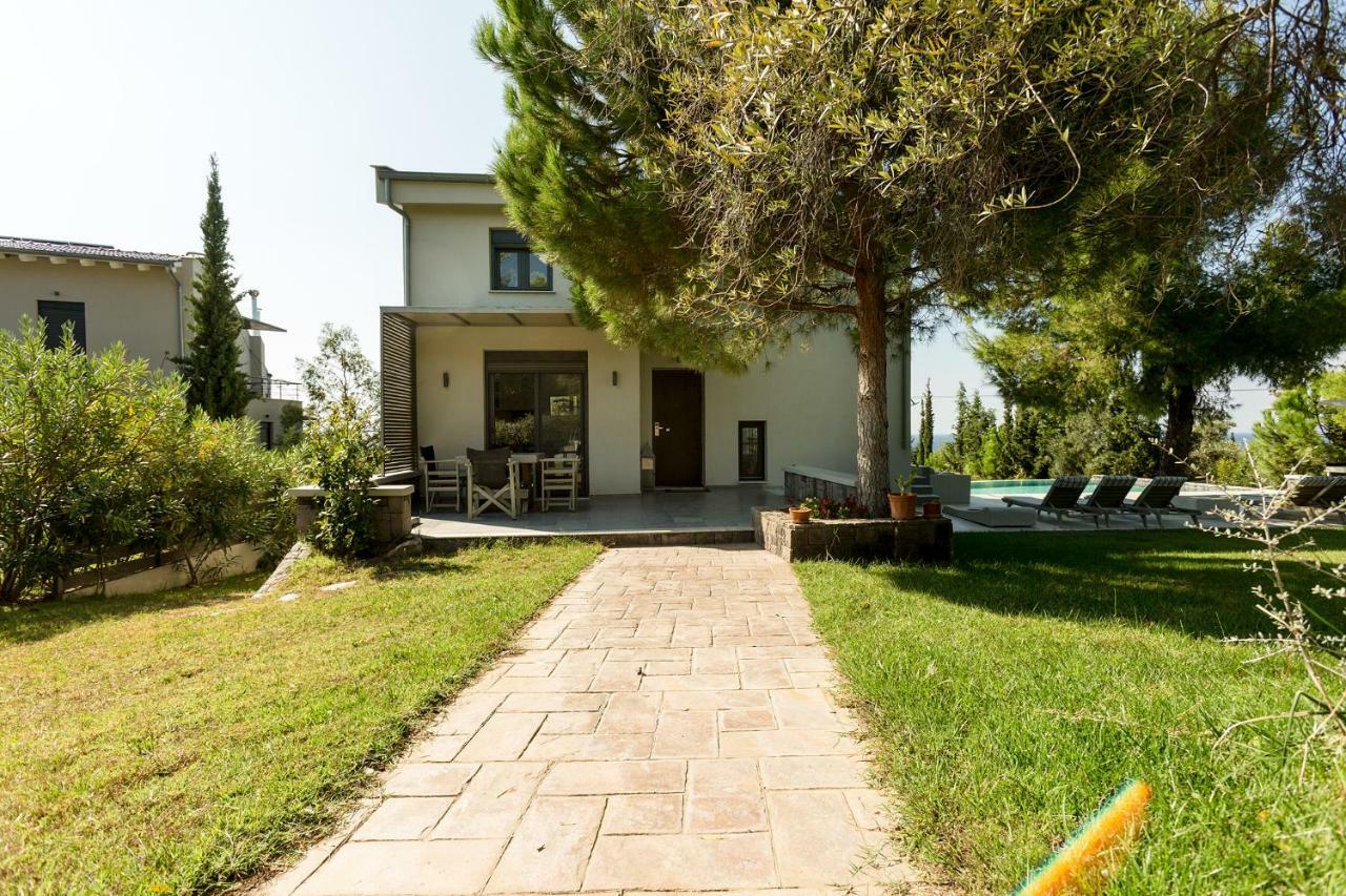 Olivia Estate Villa With Private Swimming Pool Elia Nikitis Zewnętrze zdjęcie