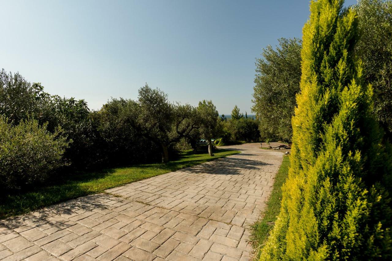 Olivia Estate Villa With Private Swimming Pool Elia Nikitis Zewnętrze zdjęcie