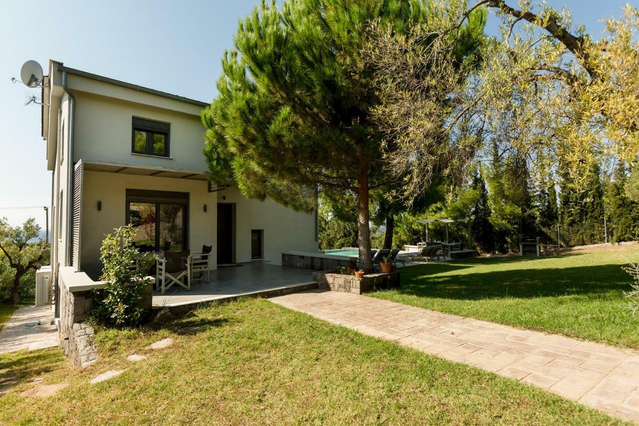 Olivia Estate Villa With Private Swimming Pool Elia Nikitis Zewnętrze zdjęcie